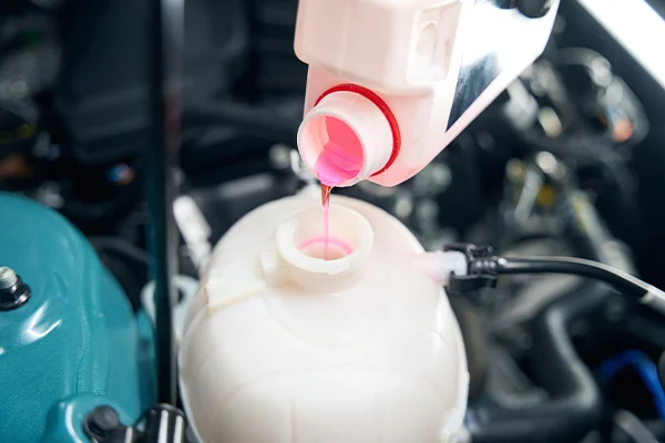 Technician filling coolant reservoir with pink antifreeze