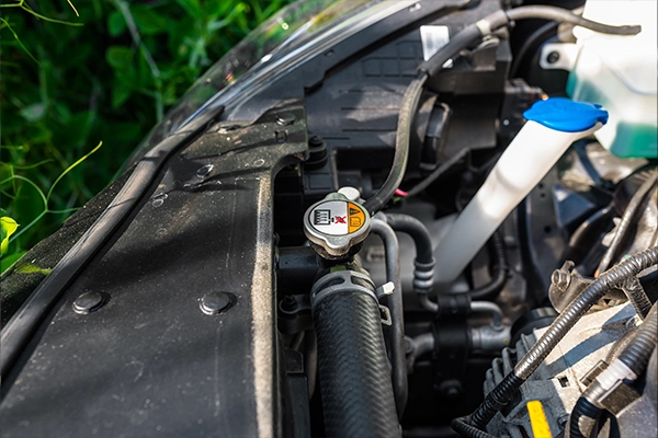 close-ip view of radiator cap