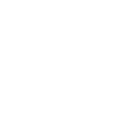 white wheel alignment icon